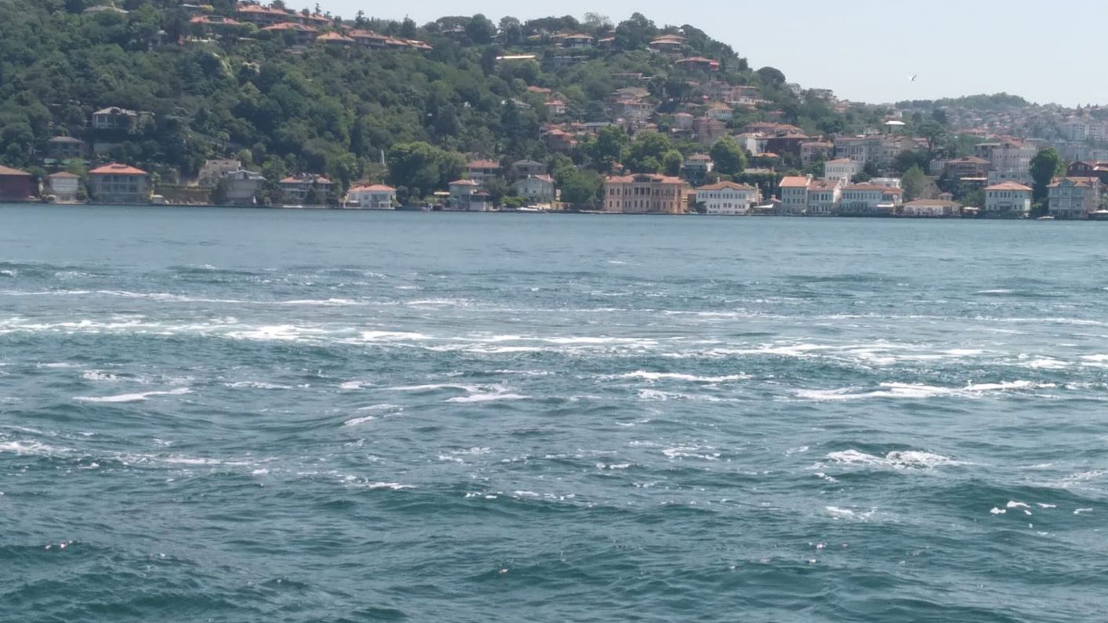 Le Bosphore est à l’agonie, comme un patient dans le coma