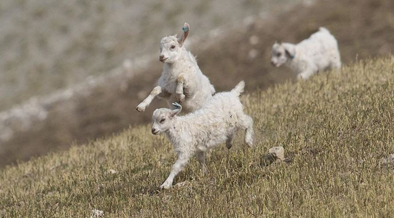 Des scénarios pessimistes !  Danger de sécheresse et de faim en Asie - Photo : 2