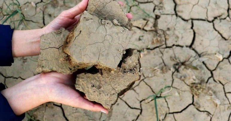 Pire que la guerre !  Une crise alimentaire mondiale pourrait survenir - Photo : 2