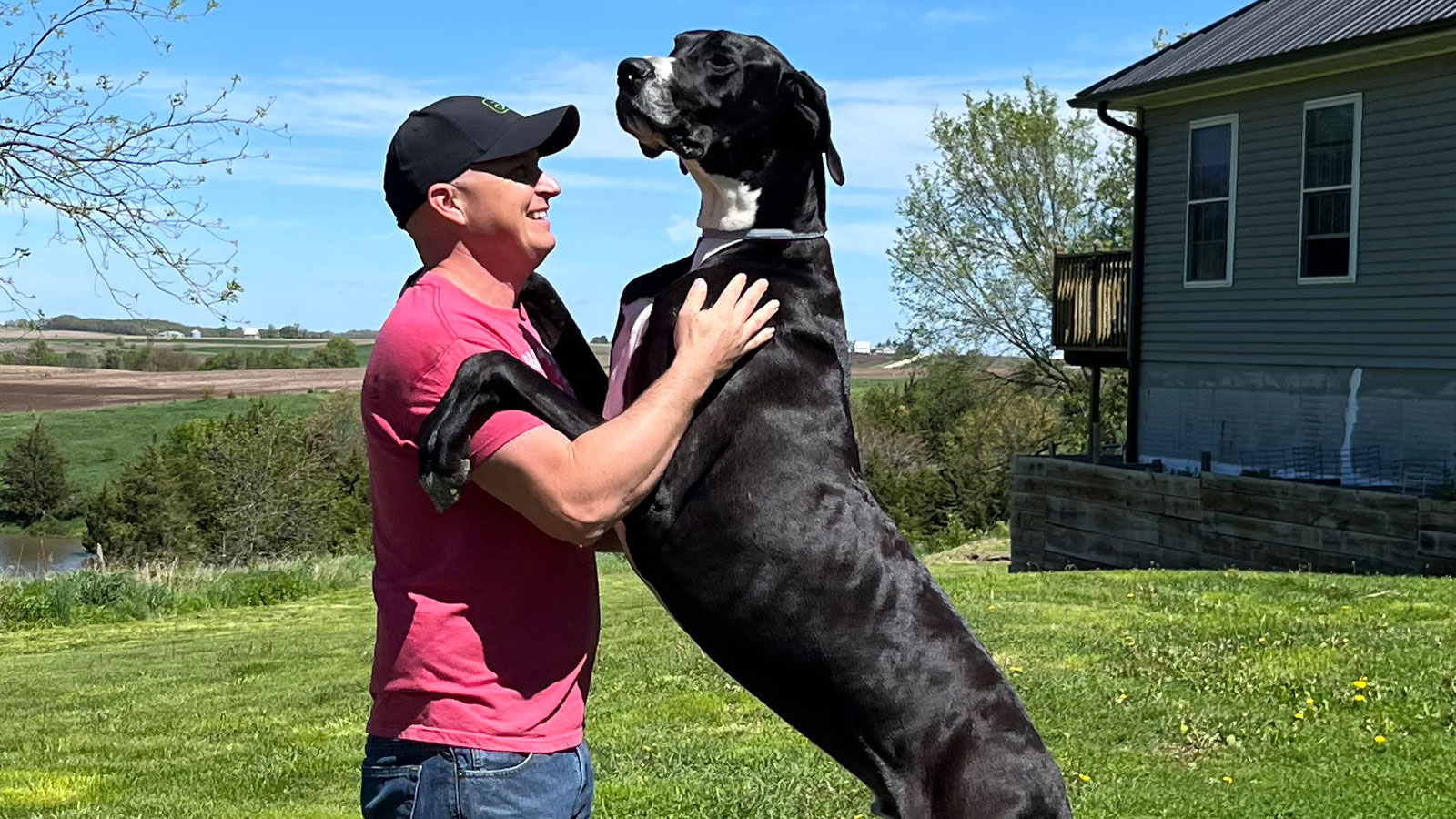 Le chien le plus grand du monde est décédé