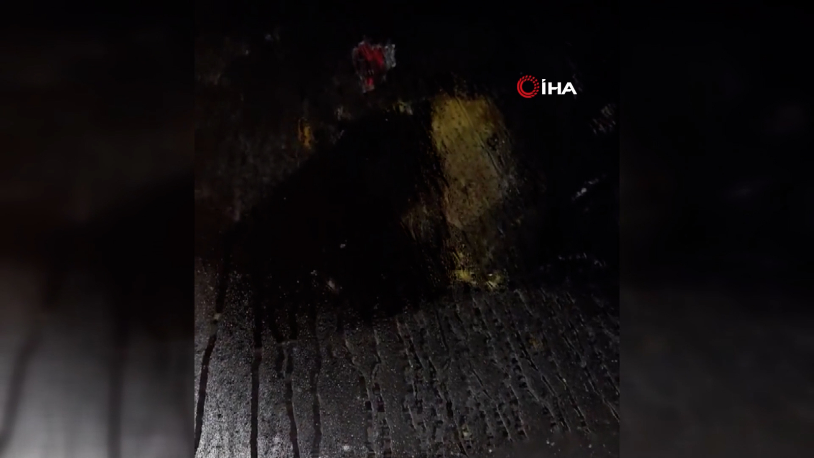 L'ours est monté dans la voiture et a détruit les sièges