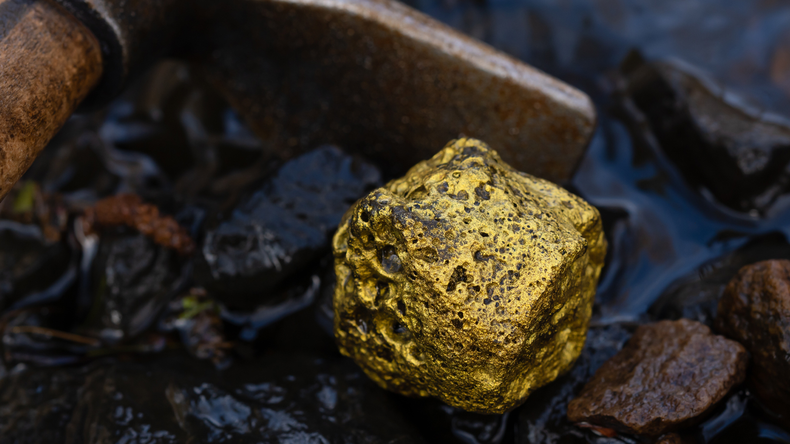 Mehmet Yılmaz, président du TMD : Il y a 5 000 tonnes d'or sous terre en Turquie !