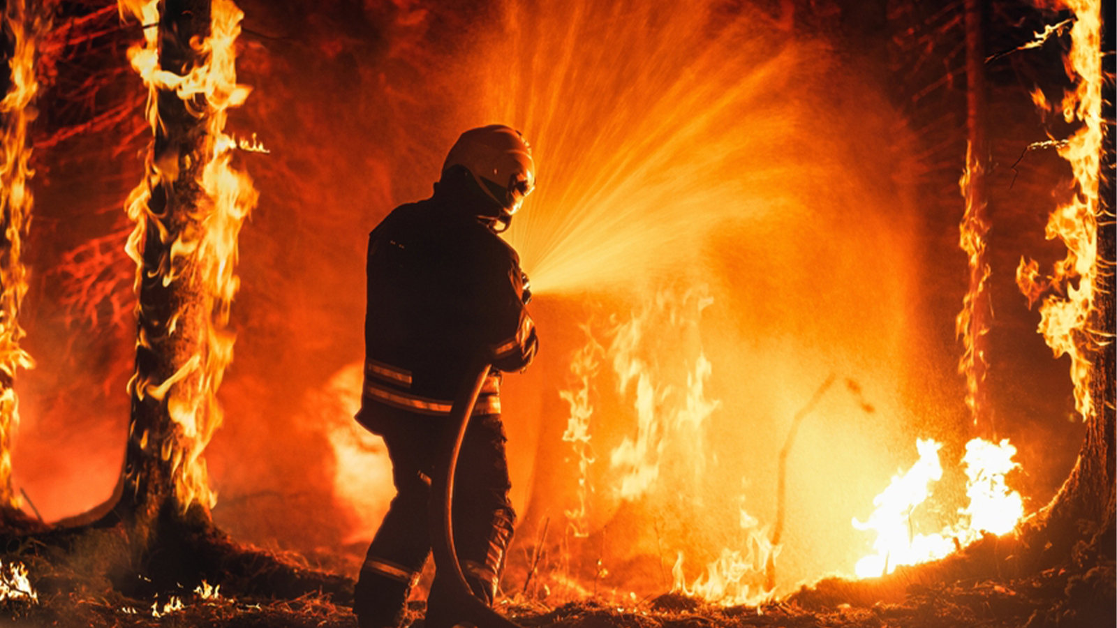 15 millions d’hectares sont menacés, dont 6 pour cent à cause du sabotage