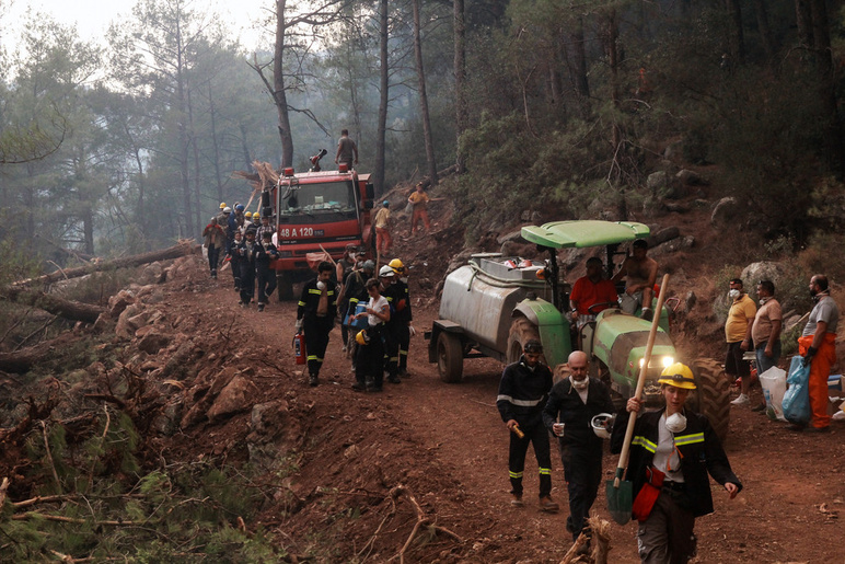 15 millions d'hectares sont menacés, dont 6 pour cent à cause du sabotage - Photo: 2