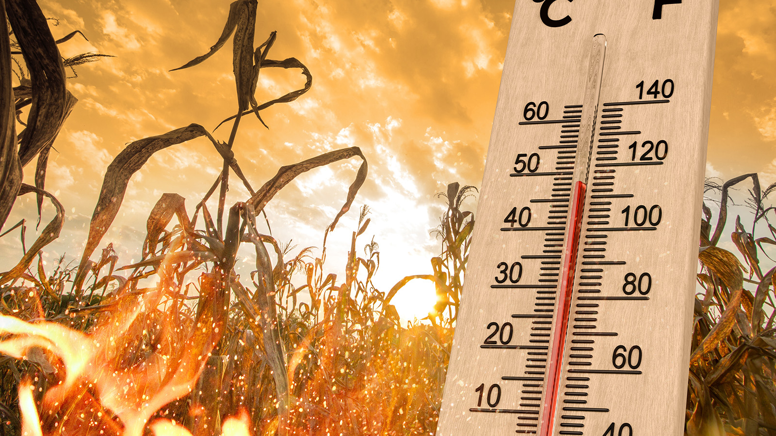 La catastrophe thermique va faire des morts cette fois