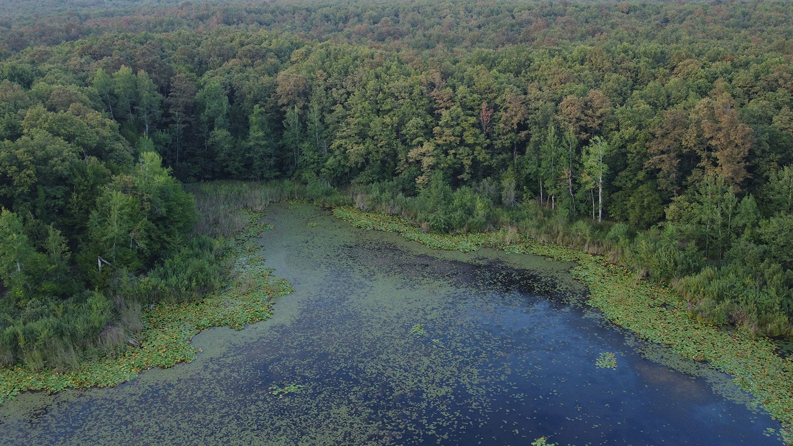 Les plaines inondables s'assèchent aussi, les larmes du ciel