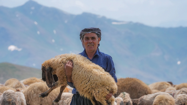 Salaire 40 mille TL, 150 mille bergers recherchés - Photo : 3