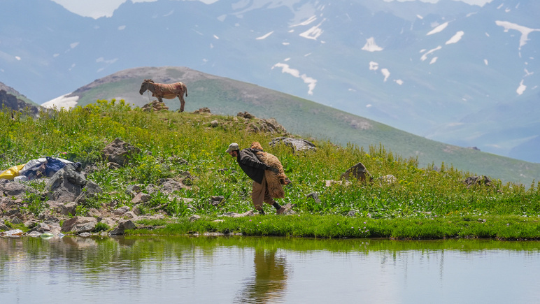 Salaire 40 mille TL, 150 mille bergers recherchés - Photo : 2