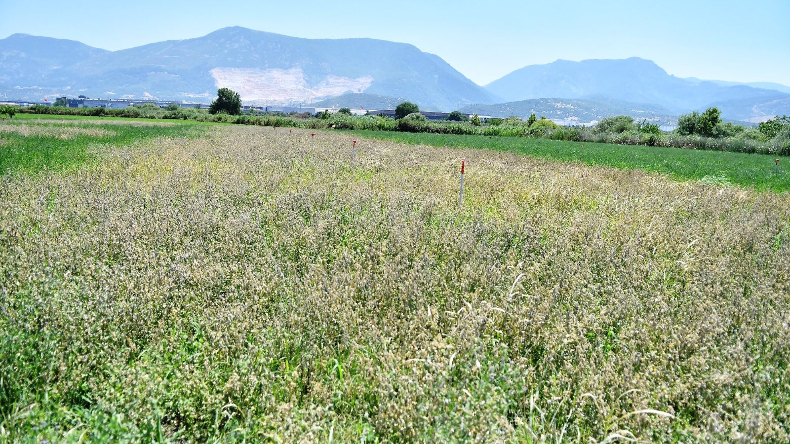 J'ai postulé pour un terrain 2/B.  Comment se déroule le transfert des terrains 2/B ?