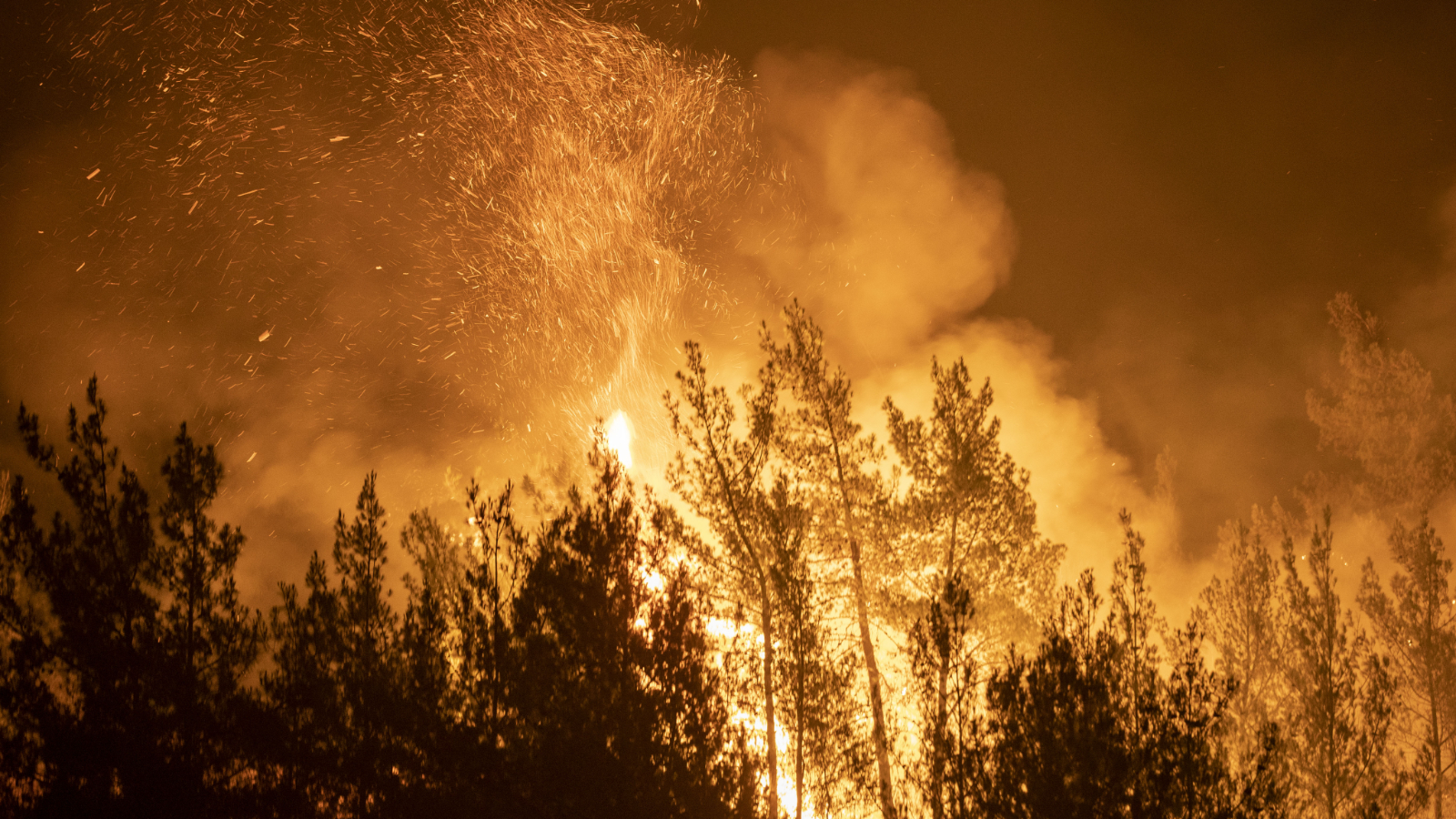 La progression des incendies de forêt peut être prédite grâce au nouveau modèle d'intelligence artificielle