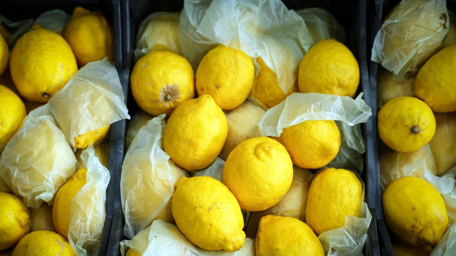 Le prix du citron bat un record : cela va continuer ainsi pendant 1,5 mois