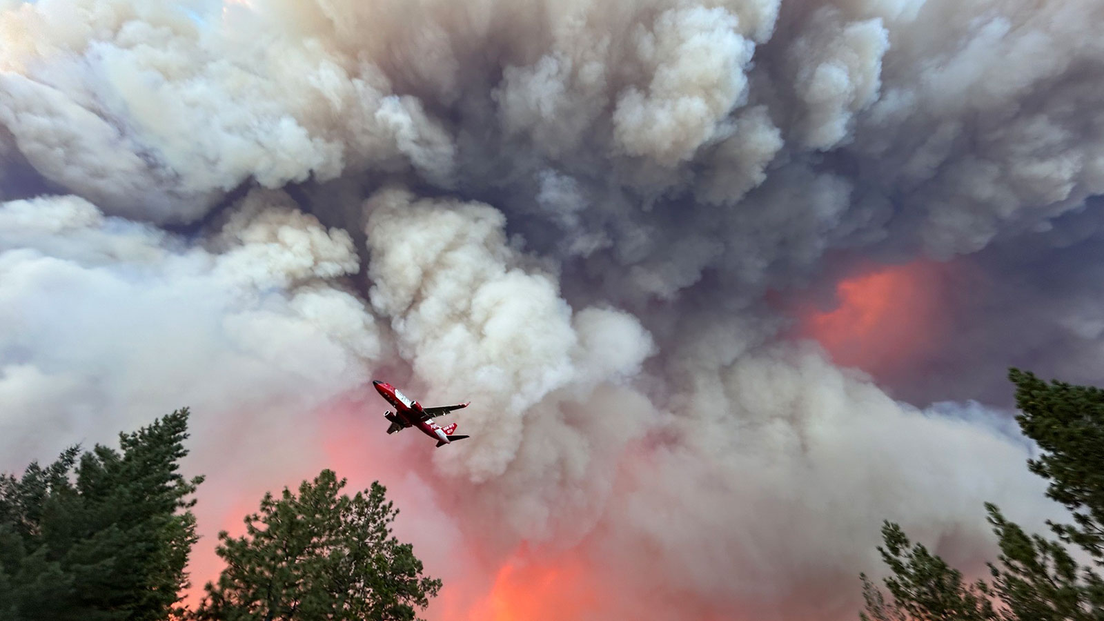 Les incendies de forêt en Californie se sont étendus à 145 000 acres