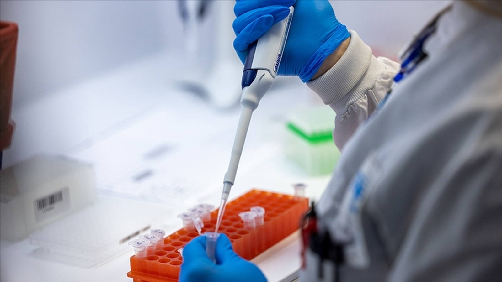 Nouvelle alerte épidémique !  Elle se propage rapidement : des centaines de morts, des milliers de cas