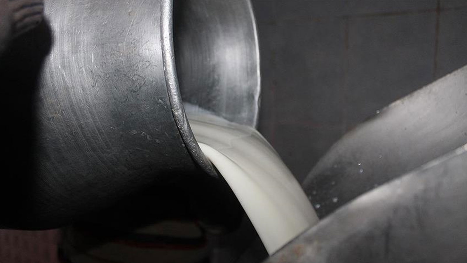 Record historique de production de lait de vache