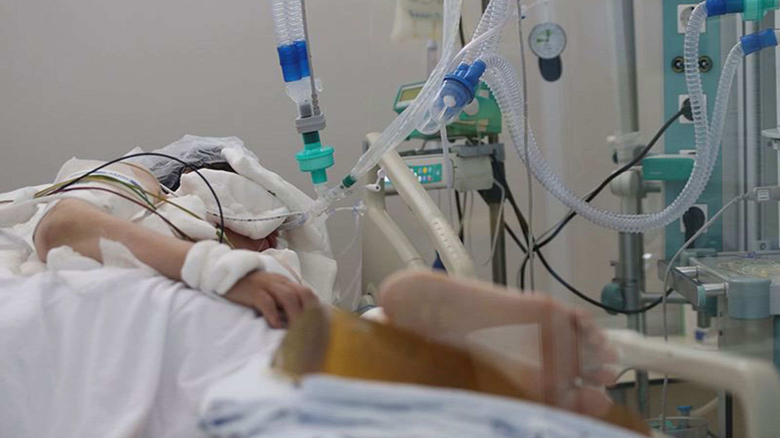 L'âge du cancer est tombé à 16 ans, faux détail sur l'huile d'olive