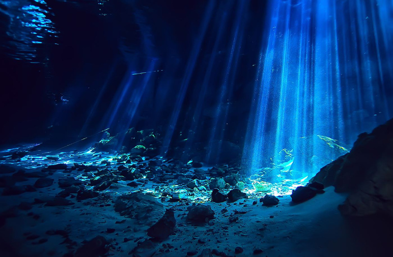 Belle découverte dans l'océan ! Le secret de la vie se trouve à 1268 mètres de profondeur - Photo : 2