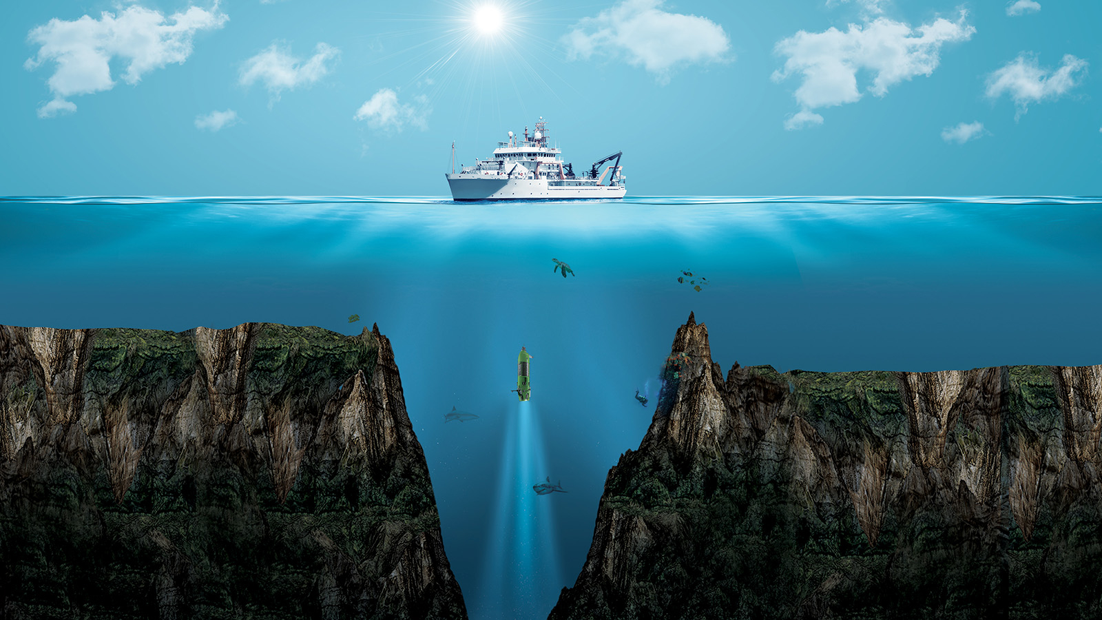 Belle découverte dans l'océan ! Le secret de la vie se trouve à 1268 mètres de profondeur