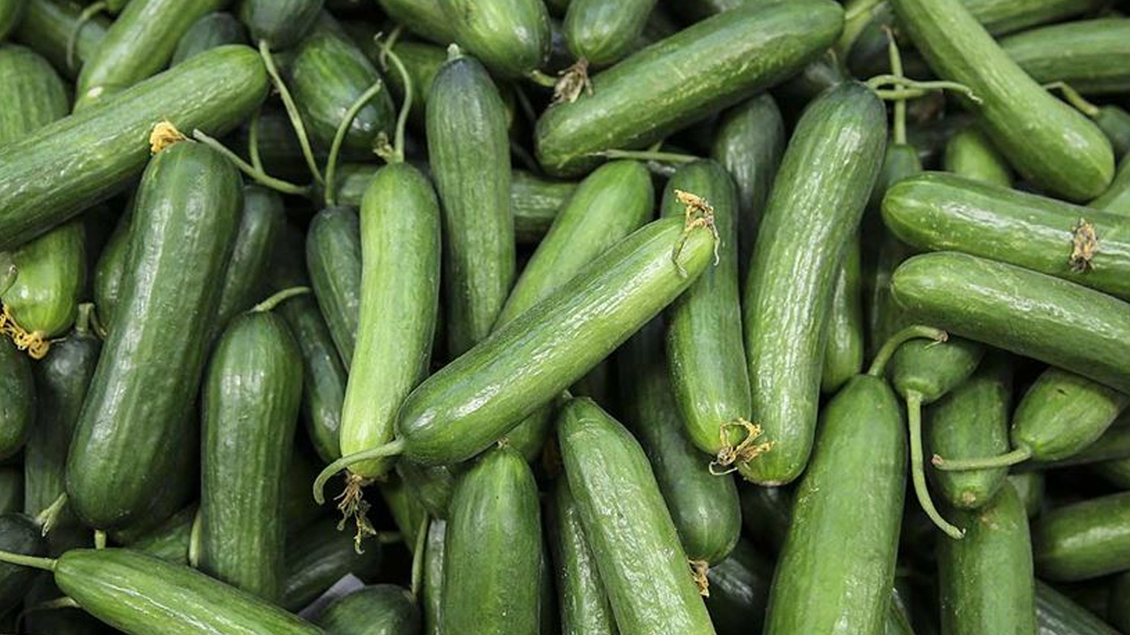 Il a été publié sur TikTok et est devenu viral ! Les couples ne peuvent pas répondre à la demande