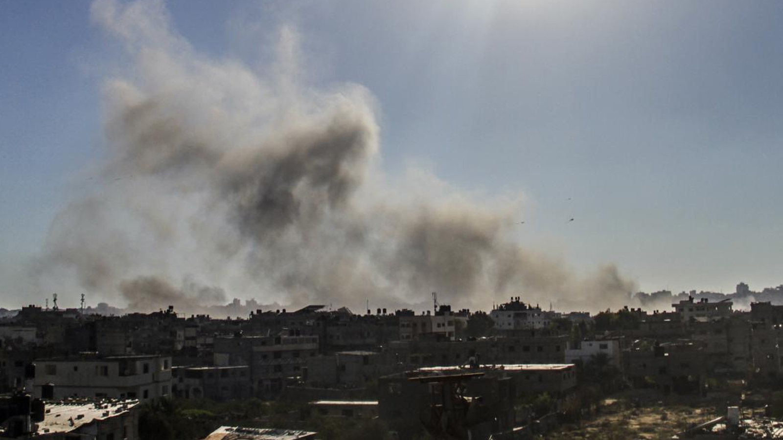 L'Union européenne appelle à une « pause humanitaire » pour la vaccination contre la polio à Gaza