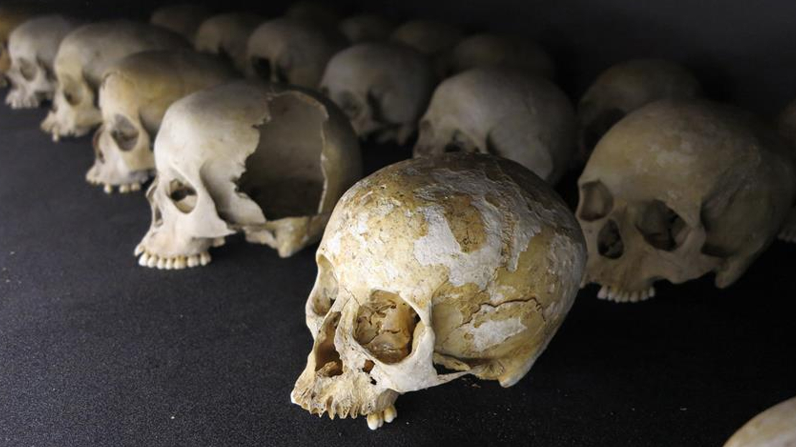 Les États-Unis restituent de nombreux crânes