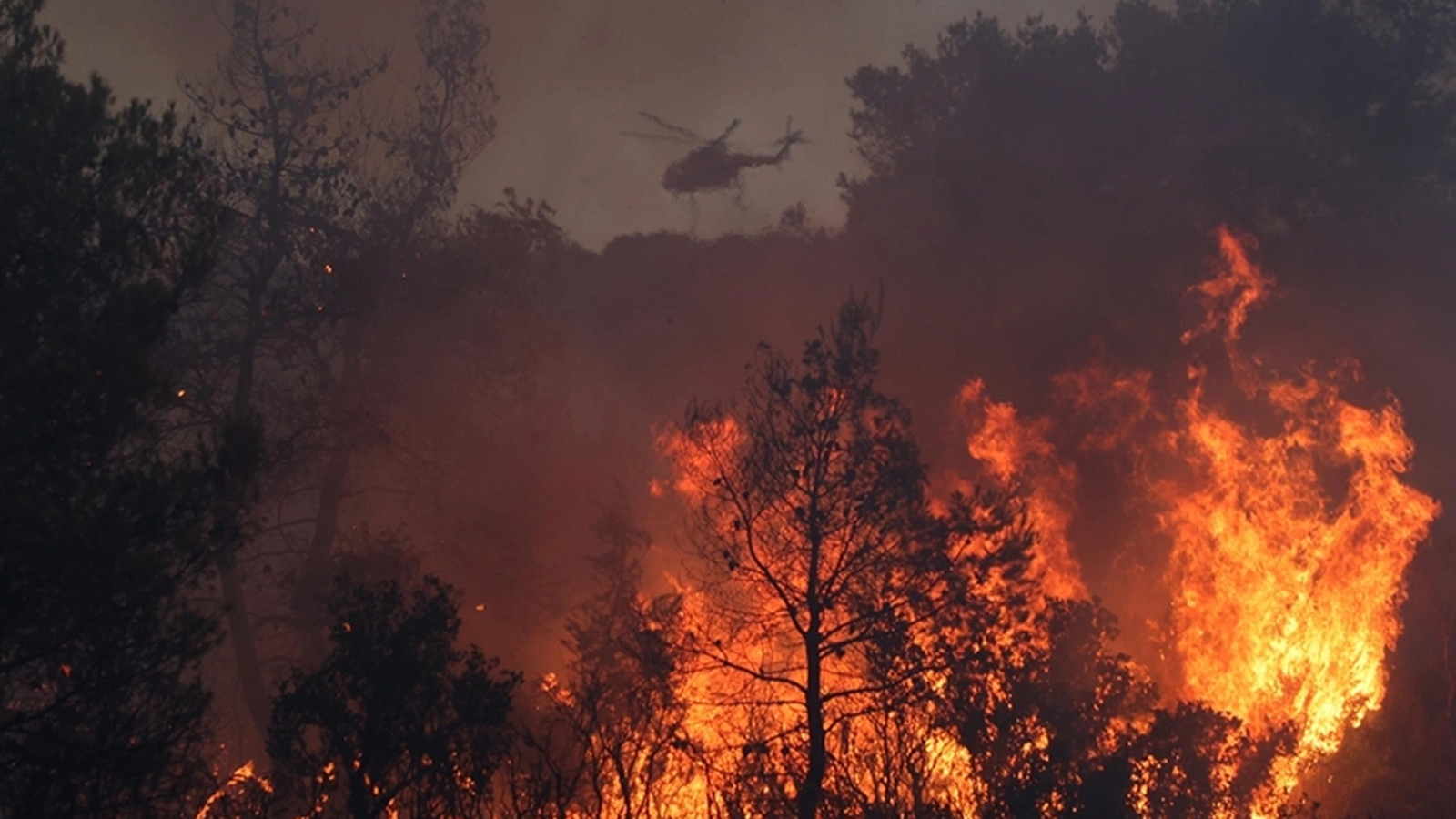 L'incendie de forêt en Grèce n'a pas été éteint depuis 7 jours