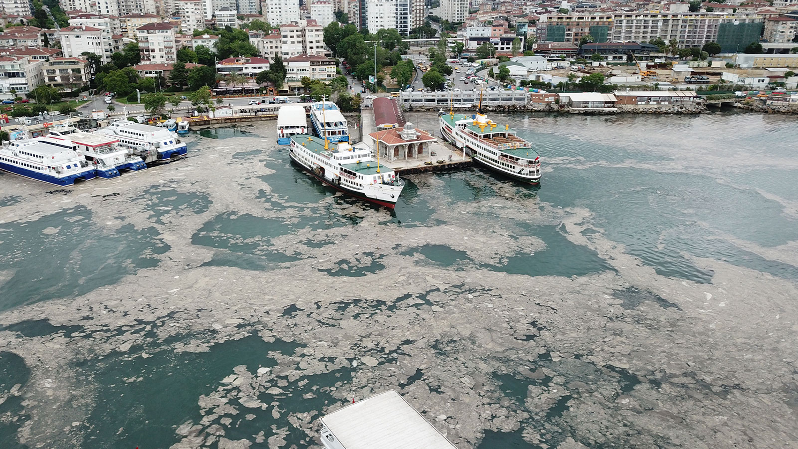 Qui sont les gens qui font ça ? Ils déversent du poison sur Marmara
