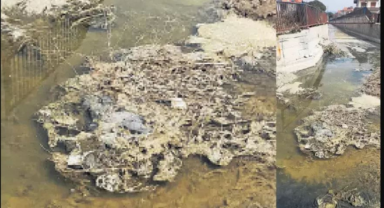 Candidat pour devenir Izmir Bay ! La rébellion de purification de Dikili - Photo: 2