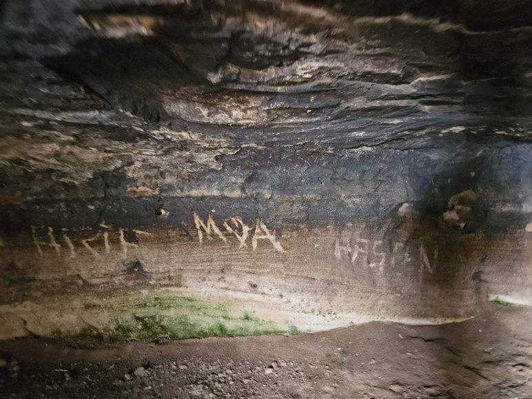Ils déchirent la Phrygie en faisant des trous, les vandales sont à l'œuvre ! - Photo : 3