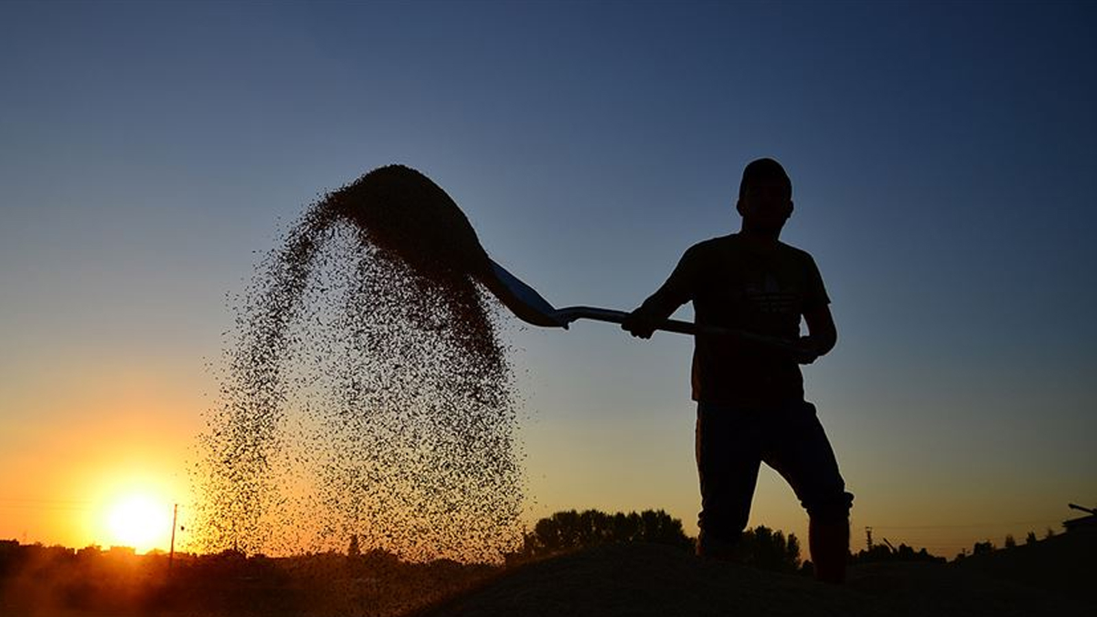 Les paiements de soutien ont été transférés sur les comptes des producteurs