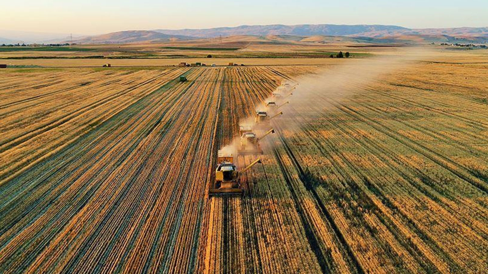 Les prix des intrants agricoles continuent de ralentir