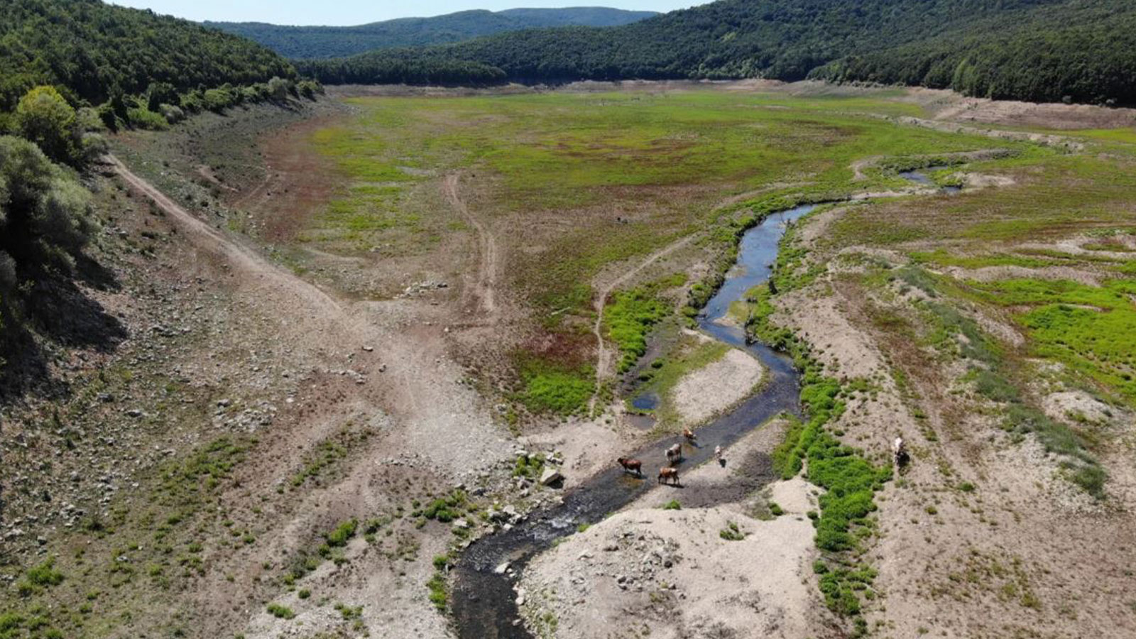 Les barrages sont sur le point de toucher le fond ! Le pays à la recherche d'eau