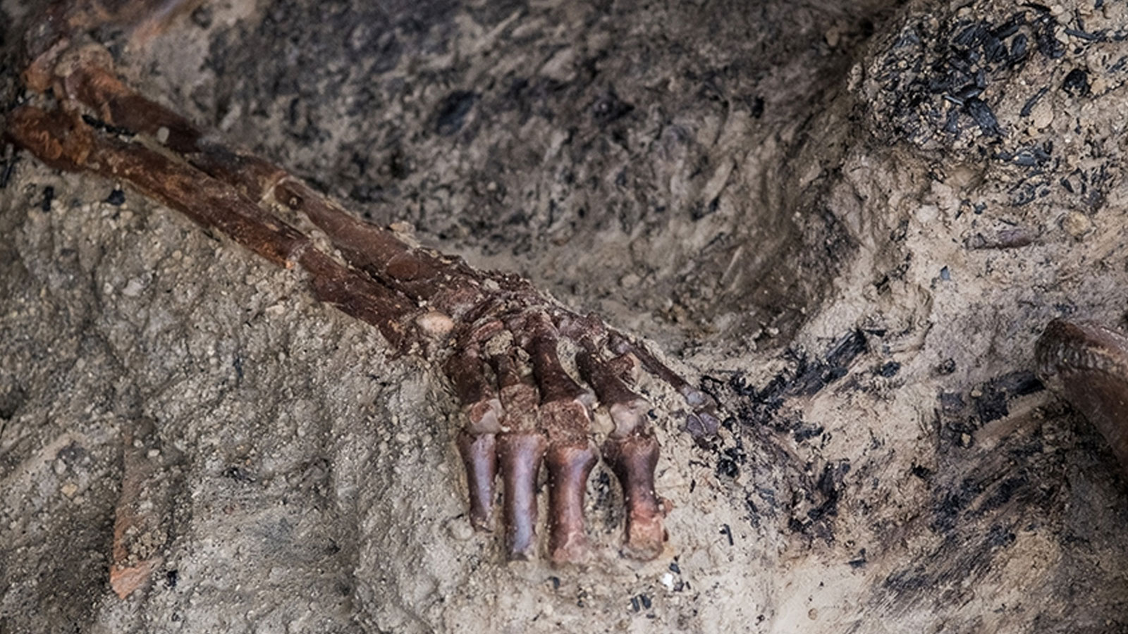 De nouvelles découvertes ont été découvertes dans l'ancienne ville romaine de Pompéi