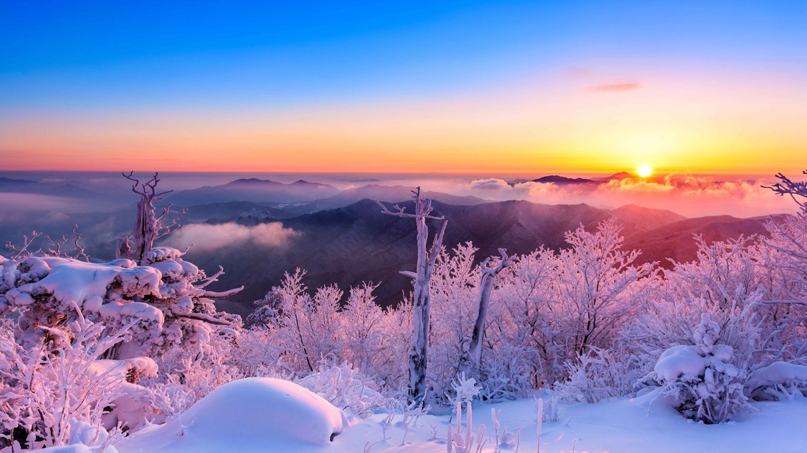 Grand intérêt pour le tourisme hivernal en Corée du Sud