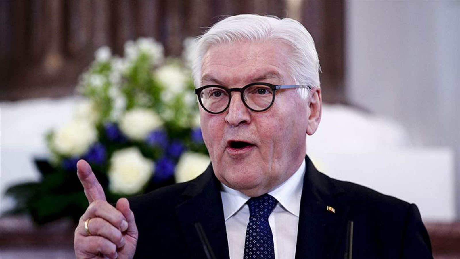 Déclaration de crise politique de Steinmeier