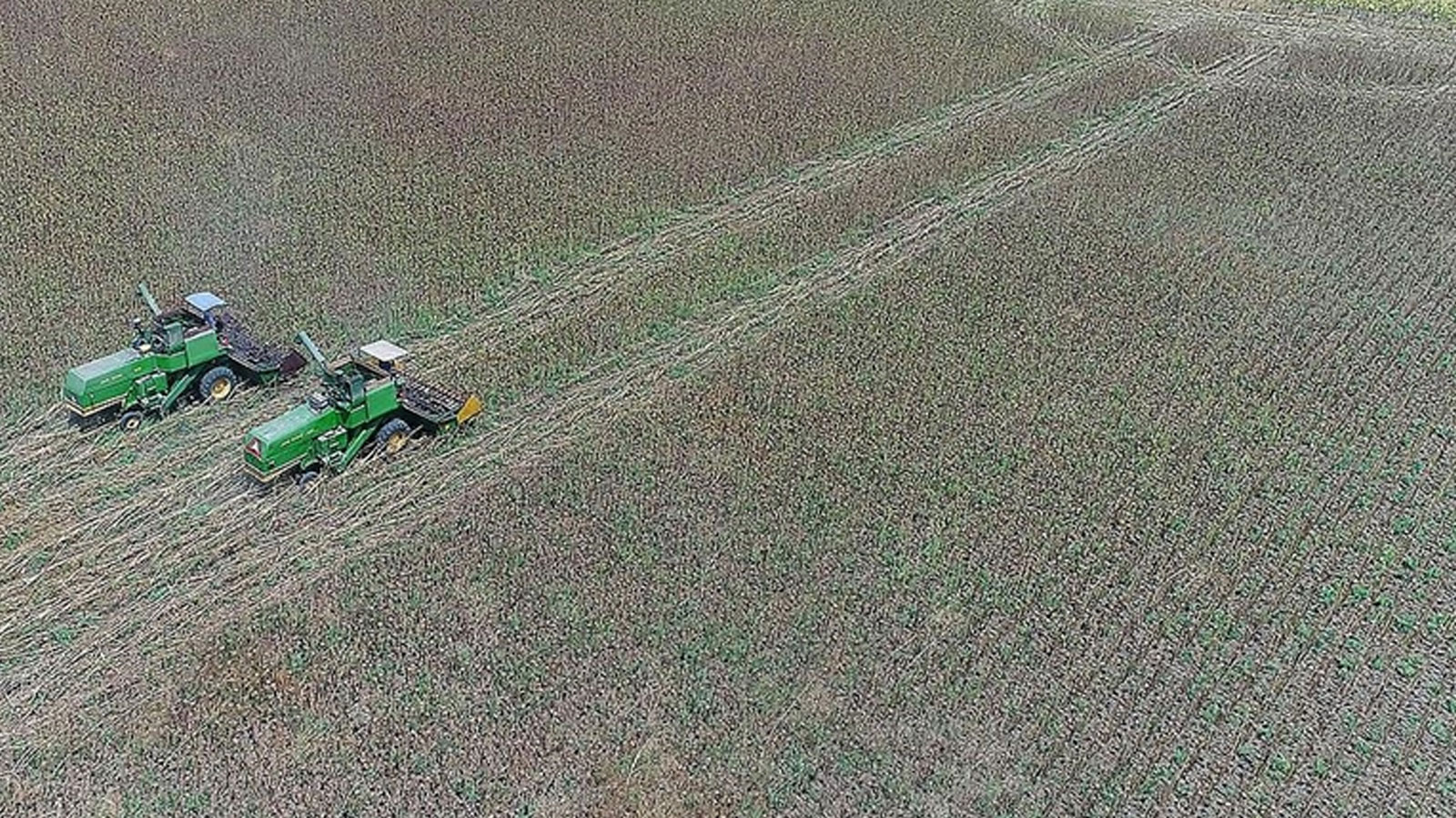 Guide de production planifiée en 33 questions du ministère de l'Agriculture et des Forêts