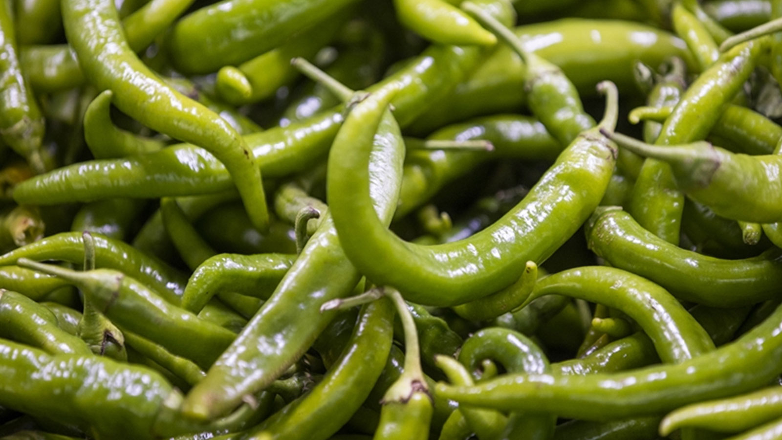 Le poivron vert était le plus cher à Istanbul le mois dernier