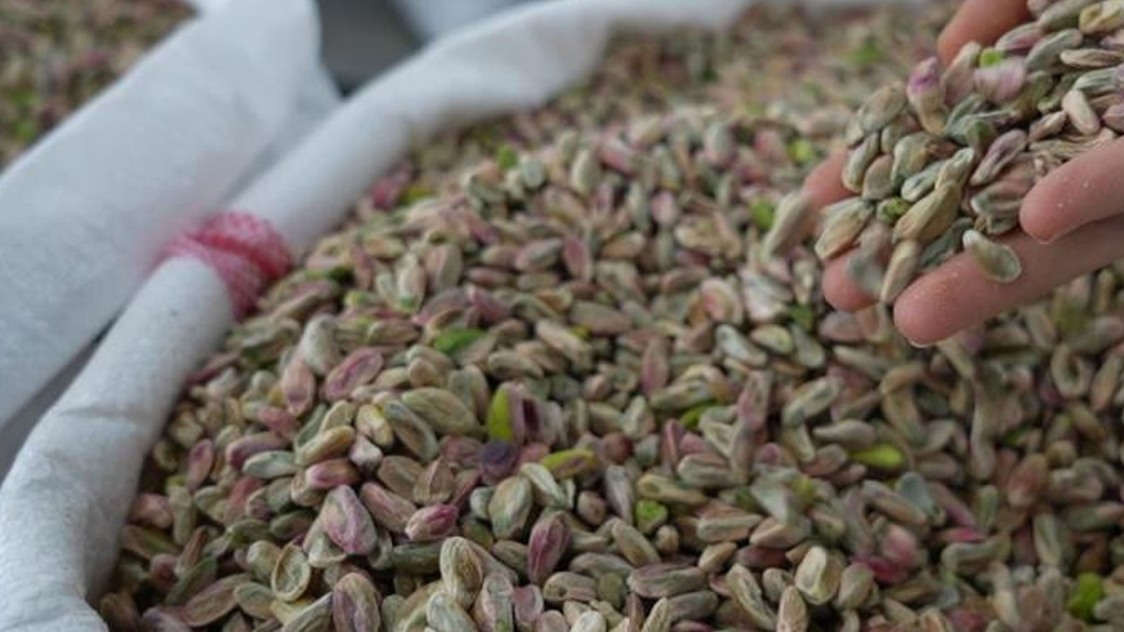 L'effet du chocolat de Dubaï sur les pistaches