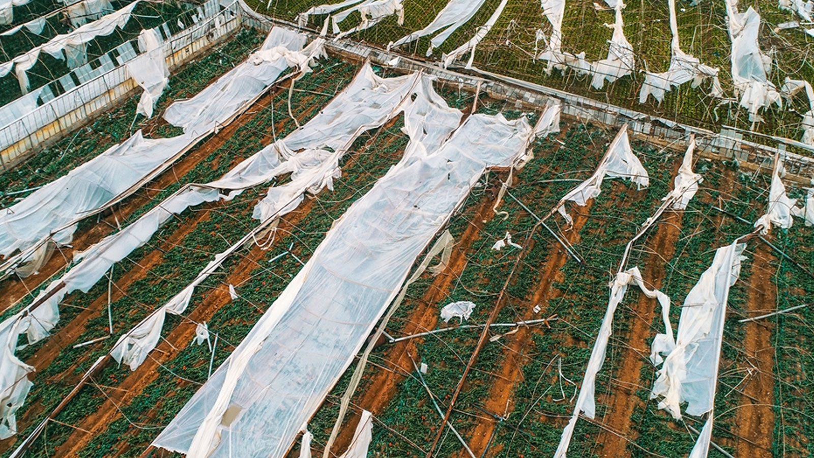 La tempête et la tornade affecteront les prix des légumes à Antalya !