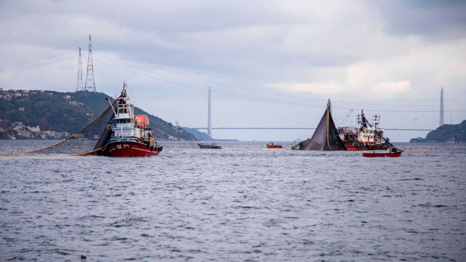 Est-il possible de chasser ainsi ? Barrière de Seine sur la route de migration
