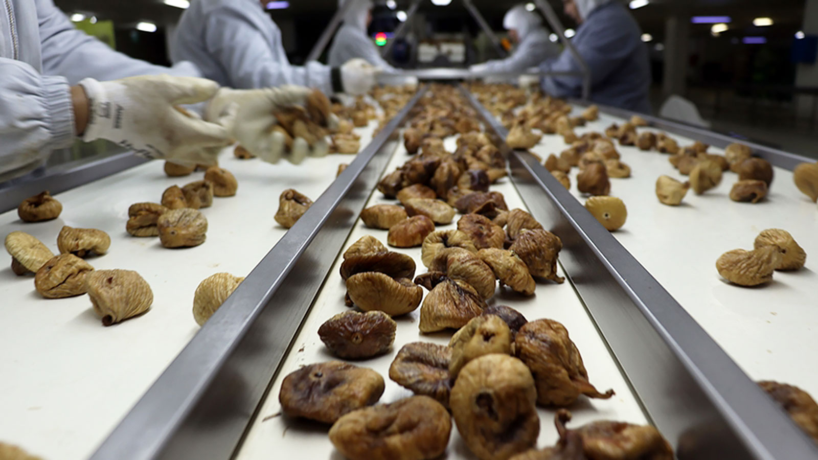 Qui empoisonne notre terre?