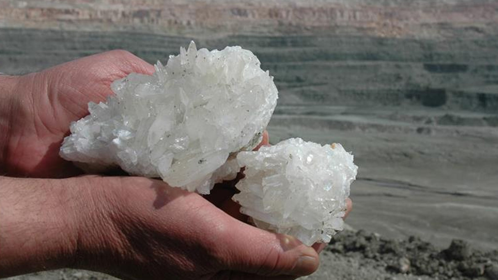 Borda a battu un record de ventes de 1,3 milliard de dollars en 2024