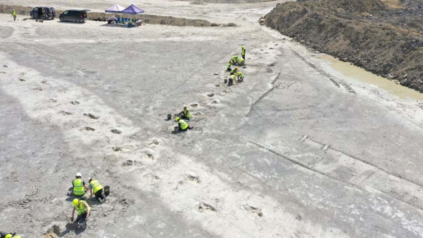 Découverte vieille de 166 millions d’années ! Il y en a des centaines