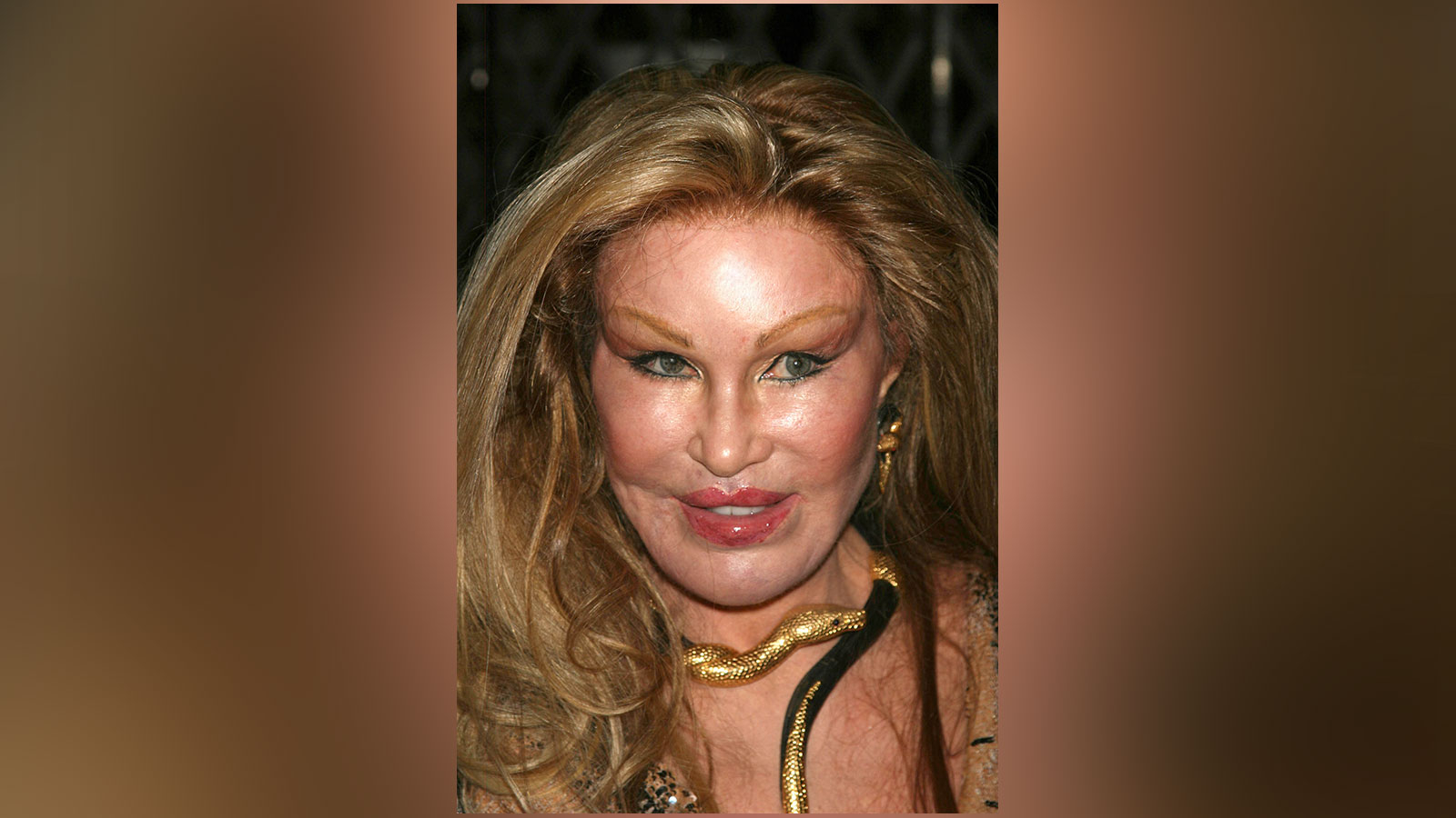 Jocelyn Wildenstein, la dame aux chats qui était toujours à l'ordre du jour avec son esthétique, est décédée.