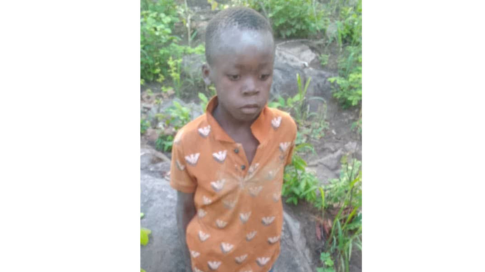 Le garçon porté disparu dans le parc aux lions du Zimbabwe a été retrouvé quelques jours plus tard.