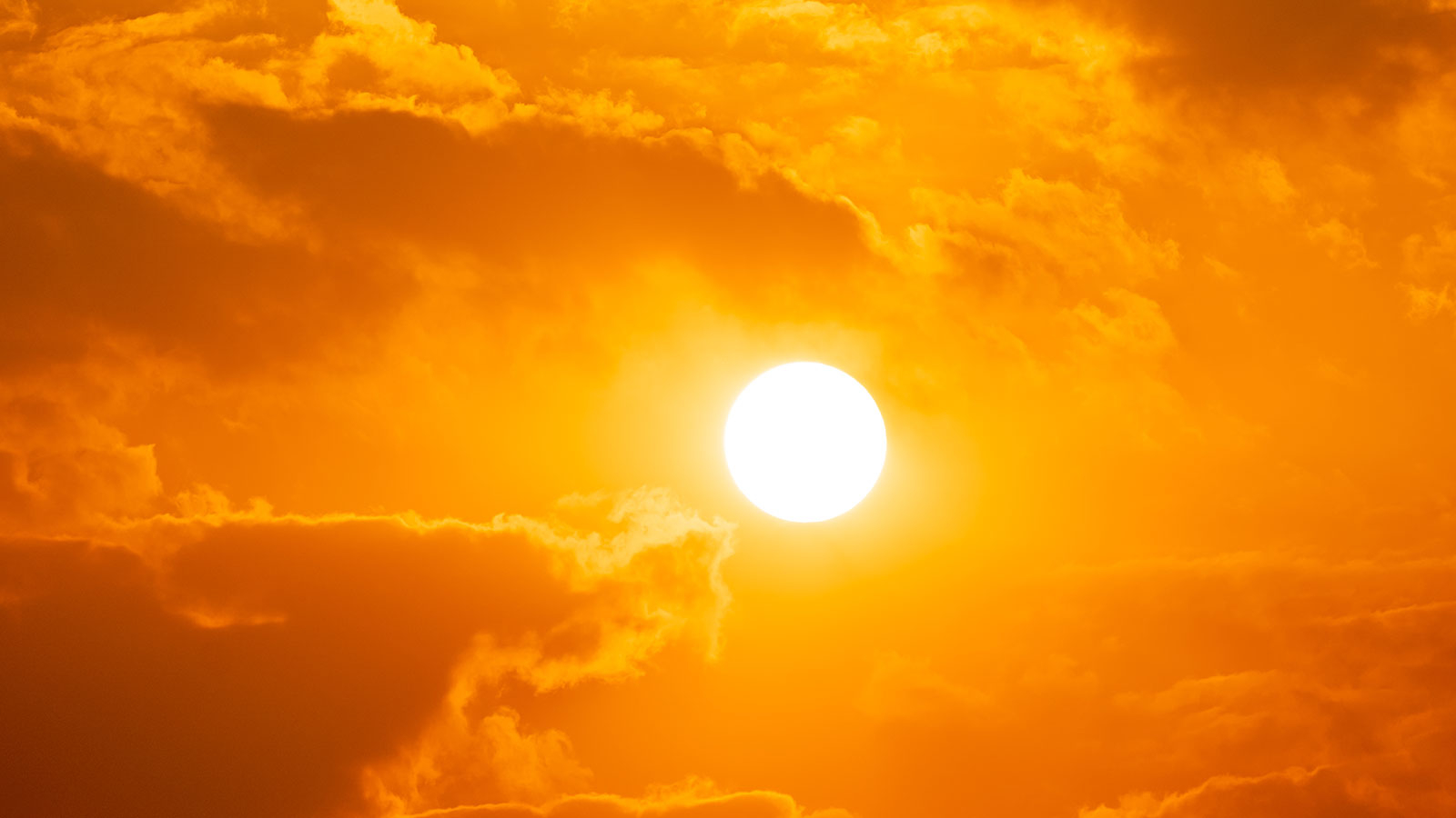 Le monde a été brûlé au cours des 10 dernières années