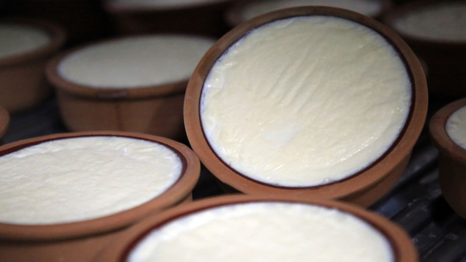 Le yaourt Silifke a reçu l'enregistrement d'une indication géographique de l'UE