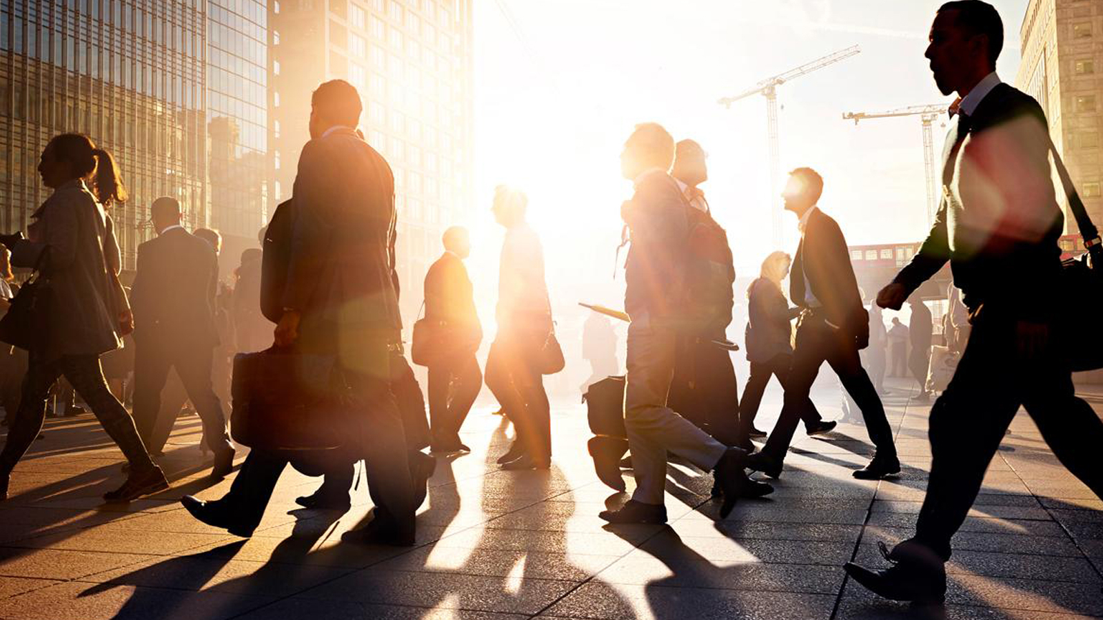 Les métiers de 2030 sont annoncés : il leur est quasiment impossible de rester au chômage !