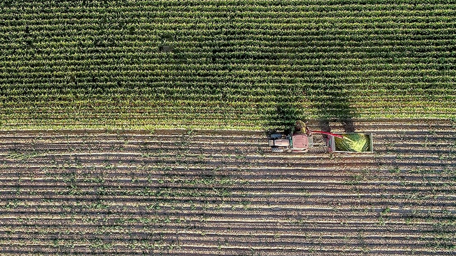Soutien aux frais d'assurance agricole des agriculteurs