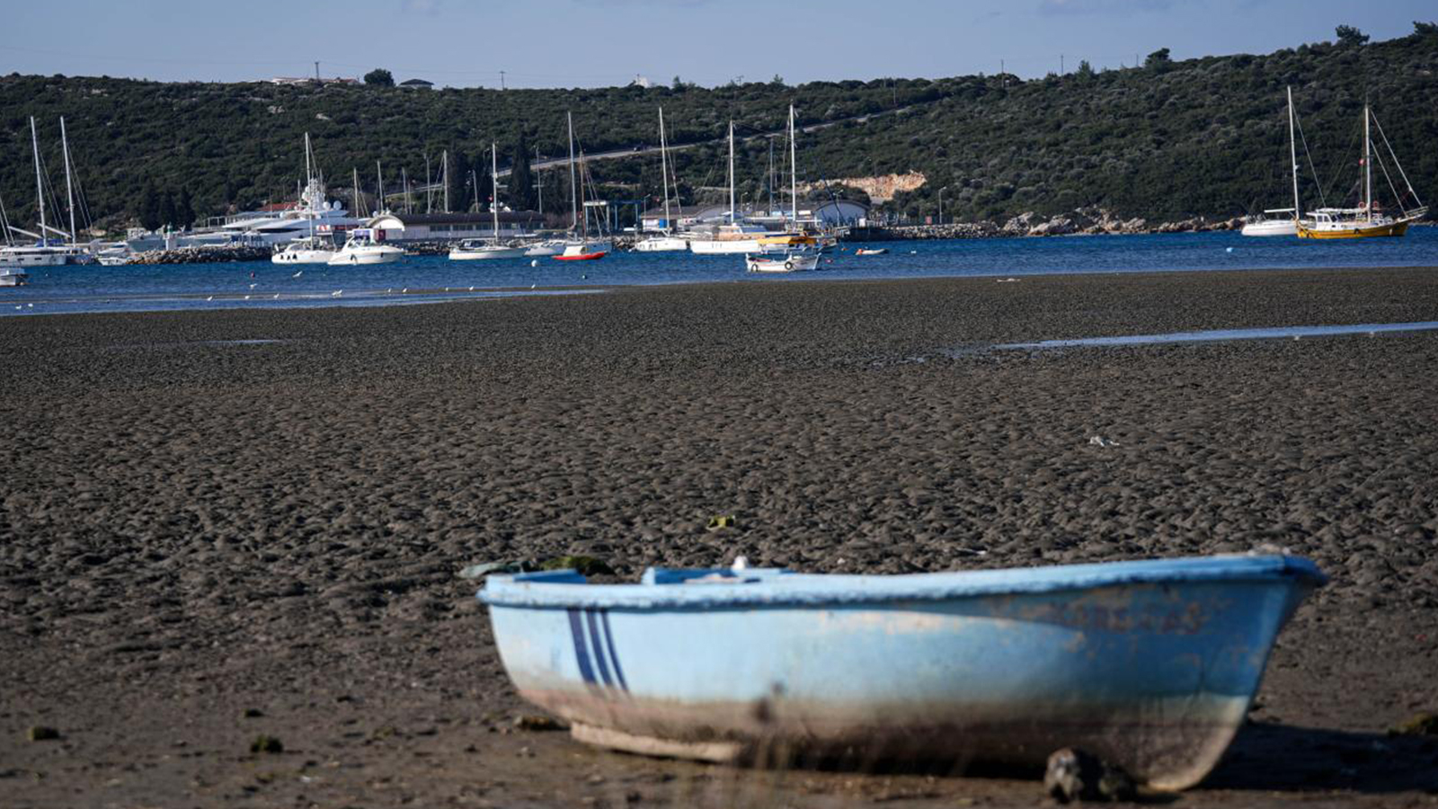 Le puzzle de l'eau de mer est le signe avant-coureur du grand tremblement de terre?