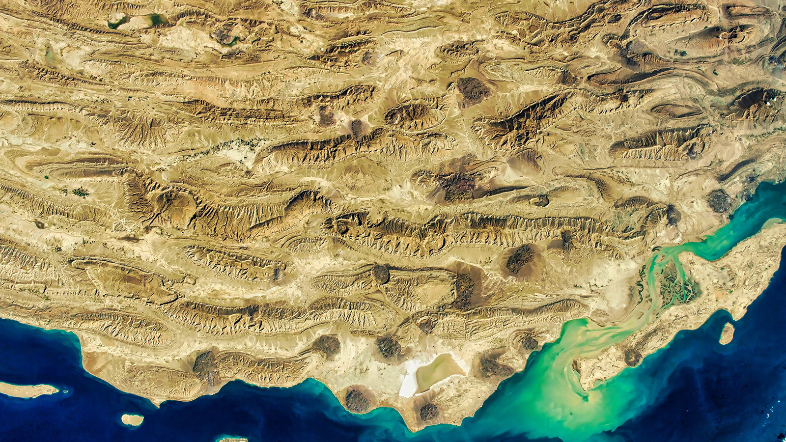 La science dit le contraire! La thèse `` Ayrılıkçı '' était erronée - Image: 2